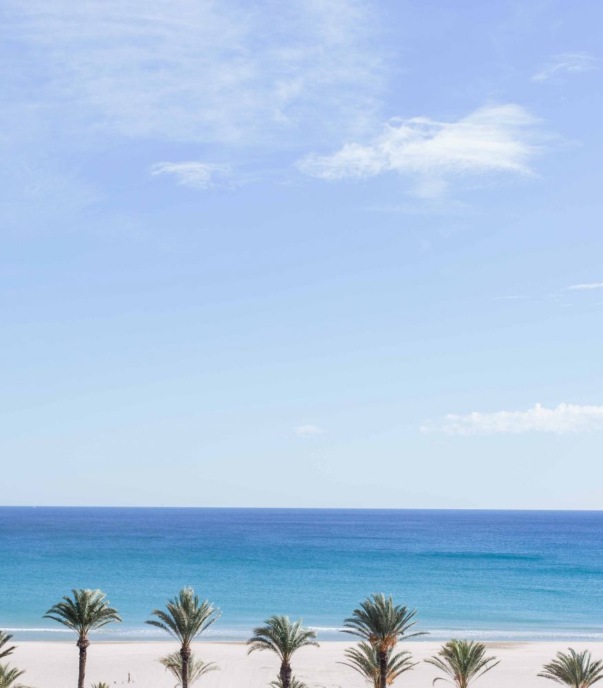 vistas playa con palmeras hotel almirante